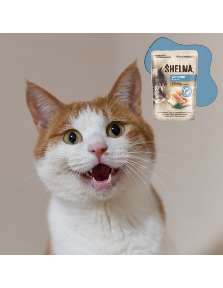 Bezzbożowa mokra karma dla kota bogata w dorsza w sosie Shelma 85g 8595606406674 3