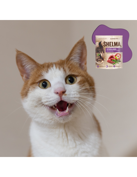Bezzbożowa sucha karma dla kotów sterylizowanych bogata w wołowinę Shelma 1,4 kg 8595606407022 3