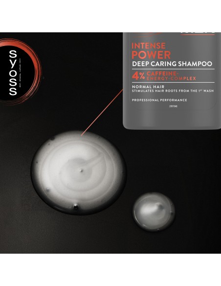 Szampon dla mężczyzn do włosów normalnych Syoss 440ml 9000101277395 3