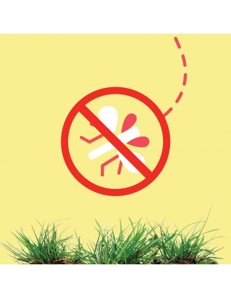 2x Spray odstraszający komary i kleszcze w atomizerze OFF! Multi Insect 100 ml 5000204152197 4