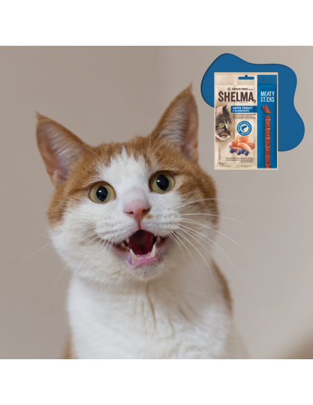 12x Smaczki dla kota  z pstrągiem i borówką Shelma 15g 8595606407268 5