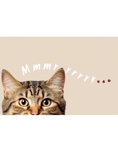 12x Smaczki dla kota  z pstrągiem i borówką Shelma 15g 8595606407268 7