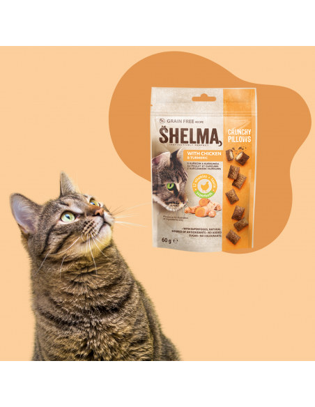 12x Chrupiące poduszeczki z kurczakiem i kurkumą dla kota Shelma 60g 8595606407671 3