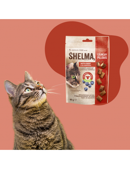 12x Chrupiące poduszeczki z wołowiną i borówkami dla kota Shelma 60g 8595606407688 3