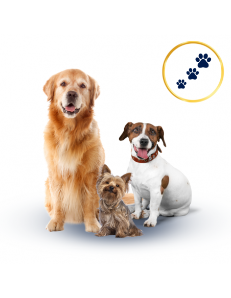 Sucha karma dla psa Polaris Jagnięcina i ryż 12 kg 8595606410138 4