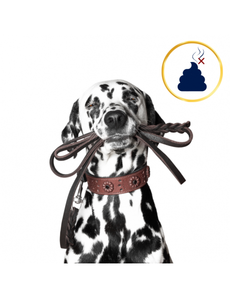 Sucha karma dla psa Polaris Jagnięcina i ryż 12 kg 8595606410138 9