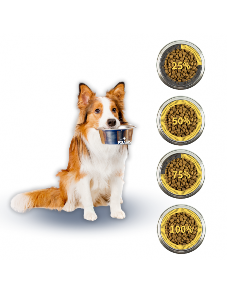 Sucha karma dla psa Polaris Jagnięcina i ryż 12 kg 8595606410138 12