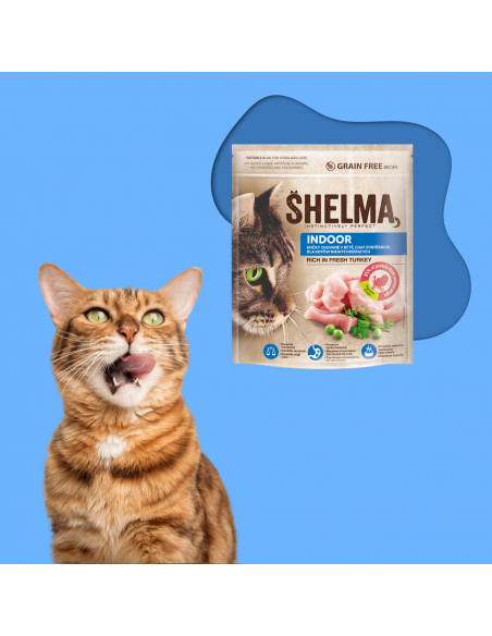 Bezzbożowa sucha karma dla kotów niewychodzących z indykiem Shelma 750 g 8595606407053 2
