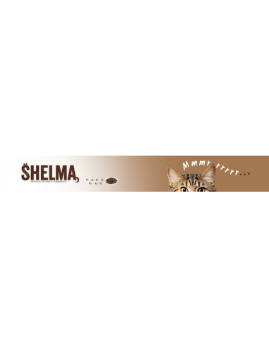 Bezzbożowa sucha karma dla kotów niewychodzących z indykiem Shelma 750 g 8595606407053 4