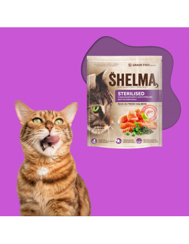 Bezzbożowa sucha karma dla kotów sterylizowanych z łososiem Shelma 1,4 kg 8595606407039 2
