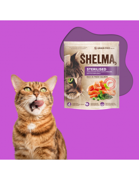 Bezzbożowa sucha karma dla kotów sterylizowanych z łososiem Shelma 1,4 kg 8595606407039 2