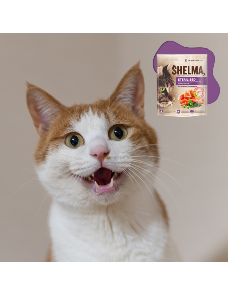 Bezzbożowa sucha karma dla kotów sterylizowanych z łososiem Shelma 1,4 kg 8595606407039 3