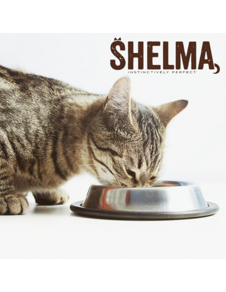 Bezzbożowa sucha karma dla kotów sterylizowanych z łososiem Shelma 1,4 kg 8595606407039 4