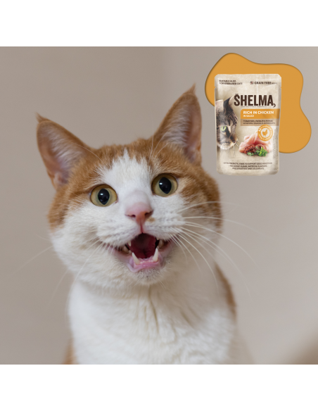 Bezzbożowa mokra karma dla kotów dorosłych z kurczakiem w sosie Shelma 85 g 8595606406704 8