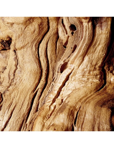 Odświeżacz powietrza w sprayu o zapachu wanilii Glade Romantic Vanilla Blossom 300 ml 5000204845389 4