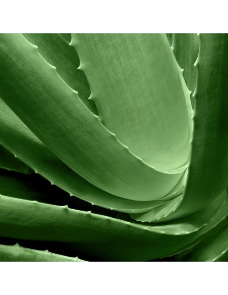 Lawendowy odświeżacz powietrza w sprayu Glade Lavender 300 ml 8711800112344 2