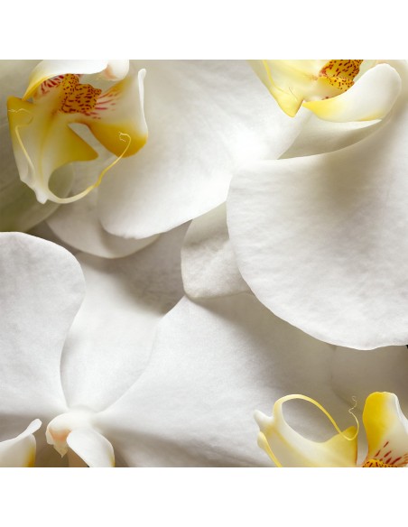 Waniliowa świeca zapachowa Glade Romantic Vanilla Blossom 112 g 5000204357226 5