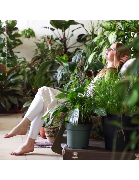 3-piętrowy kwietnik bambusowy czarny Meven 26 cm x 50 cm x 80 cm 5905842530911 8