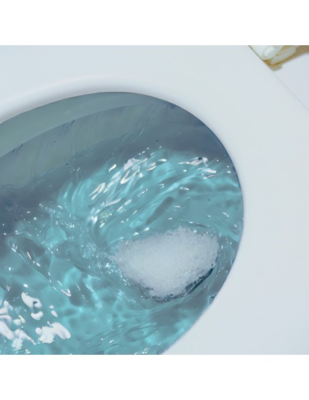 Krążek do spłuczki toaletowej o zapachu morskim Duck 5000204617078 2