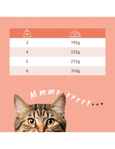 Bogaty w łososia ze szpinakiem i rozmarynem mus dla dorosłych kotów Shelma 85g 8595606410619 4