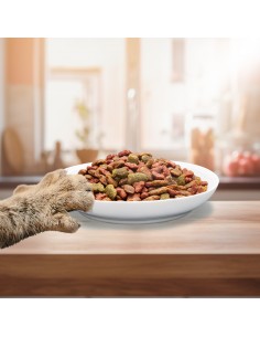 Sucha karma dla kota z tuńczykiem PreVital 300 g 5999566112034 2