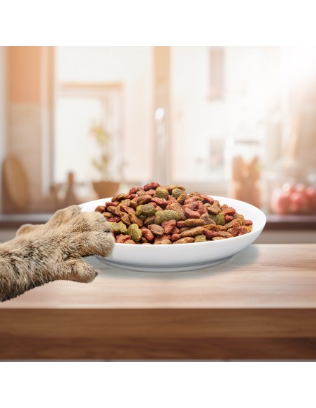 Sucha karma dla kota z tuńczykiem PreVital 300 g 5999566112034 2