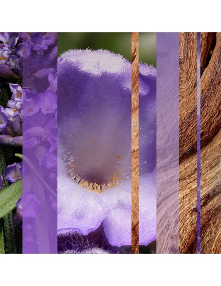 Lawendowa świeca zapachowa Glade Aromatherapy - Moment of Zen - Świece zapachowe Lawendowa świeca zapachowa Glade Aromatherapy - Moment of Zen 5000204364354 2