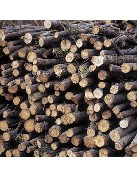 Akumulatorowa pilarka łańcuchowa z systemem SDS 20V NAC CB20-20-B20-S 5905842524644 12