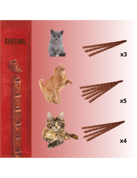 Mięsna przekąska dla kota Meaty Sticks z wołowiną i imbirem Shelma 15 g 8595606407251 5