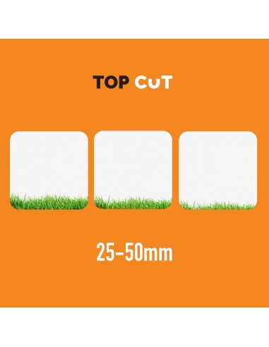 Lekka kosiarka elektryczna z koszem 30L TOP CUT TC-KE1200-32 1200W 32cm 5905842513419 3