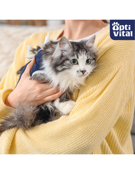 Mokra karma dla sterylizowanych kotów z cielęciną w sosie OptiVital 415 g 5907467782690 6