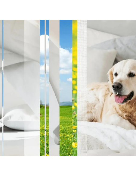 Elektryczny odświeżacz powietrza z wkładem niwelującym przykre zapachy Glade PETS Refreshing Air 5000204381405 4