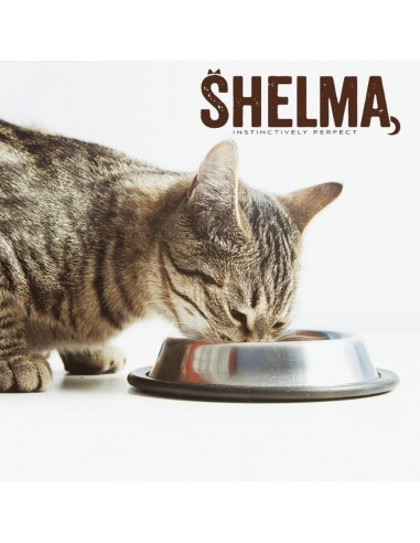 Bezzbożowy pasztet dla kota z łososiem i spiruliną Shelma 400 g 5906764001671 5