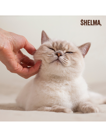 Przysmak dentystyczny dla kota, poduszeczki z wołowiną i warzywami Shelma 60 g 8595606410404 3