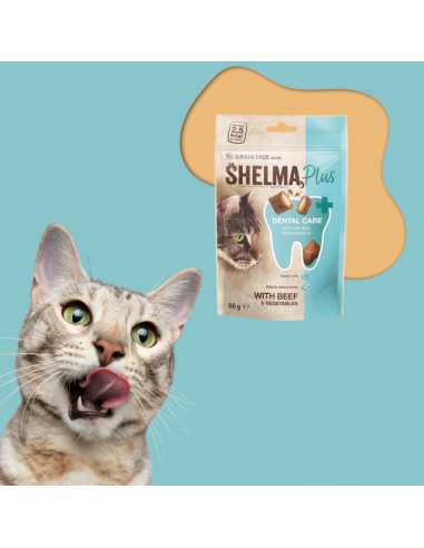 Przysmak dentystyczny dla kota, poduszeczki z wołowiną i warzywami Shelma 60 g 8595606410404 4