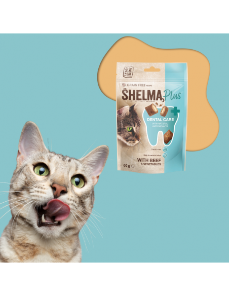 Przysmak dentystyczny dla kota, poduszeczki z wołowiną i warzywami Shelma 60 g 8595606410404 4
