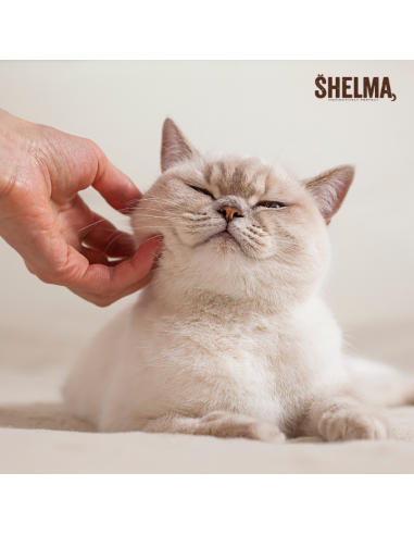 Mus dla dorosłych kotów Bogaty w kurczaka z żurawiną i tymiankiem Shelma 85 g 8595606410602 4