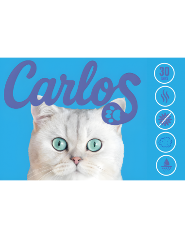 Niezbrylający żwirek dla kota silikonowy Carlos 8x 3,8L 5905842537293 10