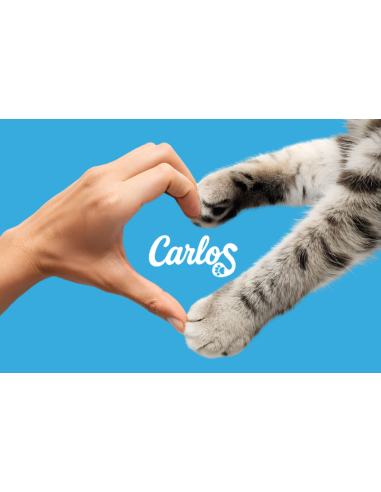 Niezbrylający żwirek dla kota silikonowy Carlos 8x 3,8L 5905842537293 11