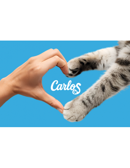 Niezbrylający żwirek dla kota silikonowy Carlos 8x 3,8L 5905842537293 11