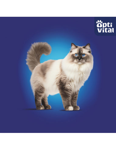 2x MEGA BOX saszetek dla kota, Mix smaków OptiVital 80x85 g 5906764003392 7