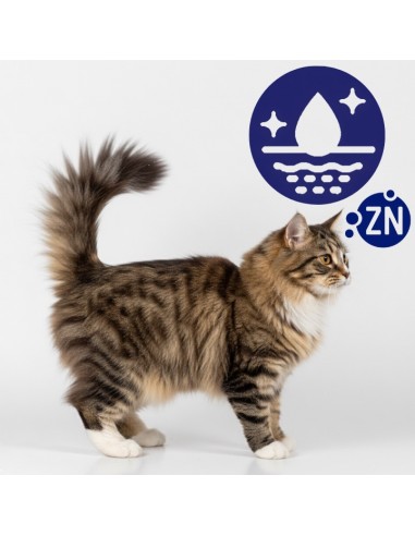 Zestaw saszetek dla kota z mokrą karmą Mix smaków OptiVital 12x85g 5906764003231 7