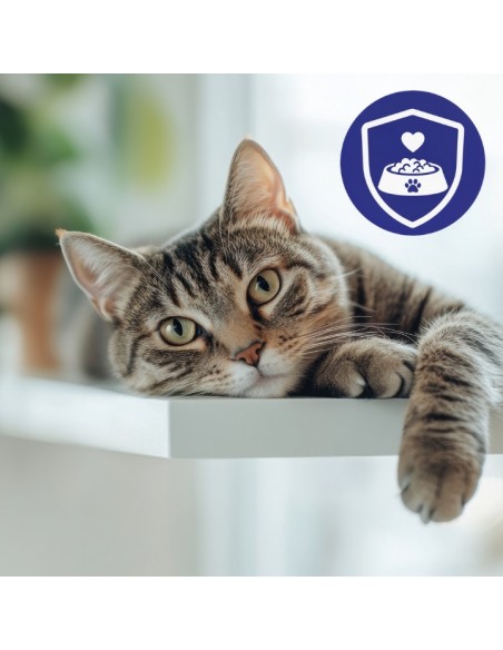 Zestaw saszetek mokrej karmy dla kotów sterylizowanych z indykiem i cielęciną OptiVital 60x85 g 5906764003361 4