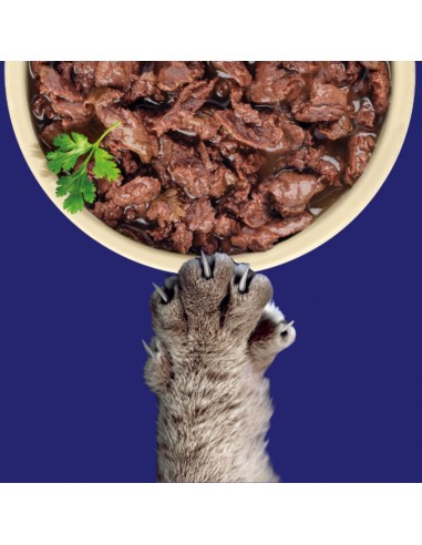 Zestaw saszetek mokrej karmy dla dorosłych kotów z jagnięciną i wołowiną OptiVital 60x85 g 5906764003354 6