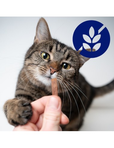 Zestaw saszetek mokrej karmy dla dorosłych kotów z jagnięciną i wołowiną OptiVital 60x85 g 5906764003354 10