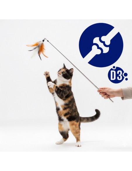 Zestaw saszetek mokrej karmy dla dorosłych kotów z kurczakiem i łososiem OptiVital 60x85 g 5906764003347 5