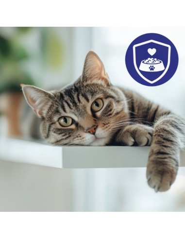 Zestaw saszetek dla kota sterylizowanego szarpane kawałki z indykiem w sosie 28x85g 5906764003323 5