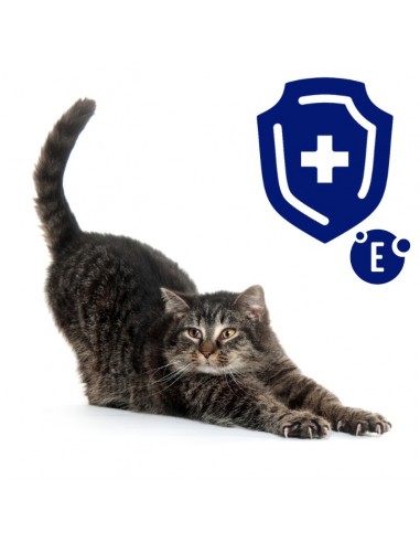 Zestaw saszetek dla kota szarpane kawałki z łososiem w sosie OptiVital 28x85g 5906764003316 7