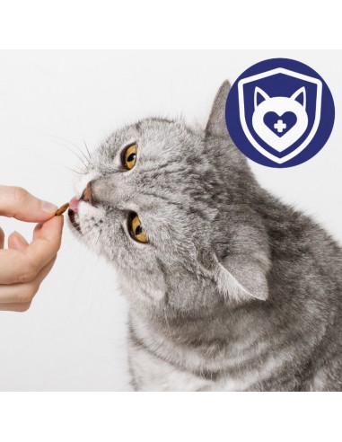 Zestaw saszetek dla kota szarpane kawałki z jagnięciną w sosie 28x85g 5906764003309 9