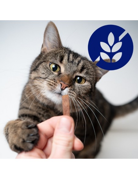 Zestaw saszetek dla kota szarpane kawałki z wołowiną w sosie 28x85g 5906764003293 11